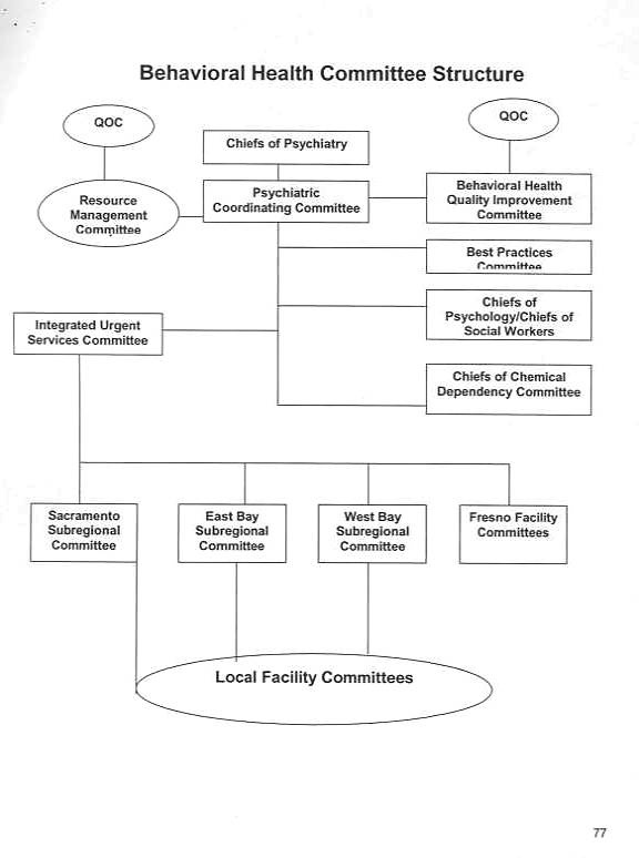 Behavioral Health Quality Improvement Committee document 14 pg 77