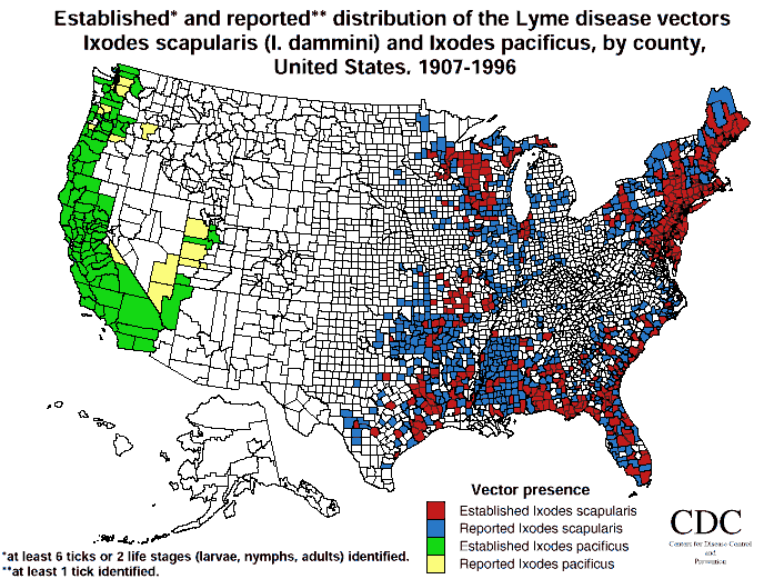 Lyme Disease Map of the US from the CDC